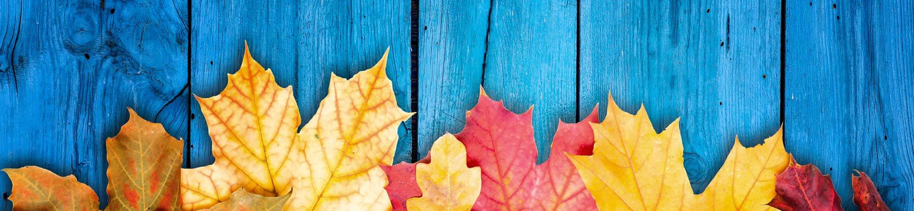 Fall School Fundraisers for Busy Organizers