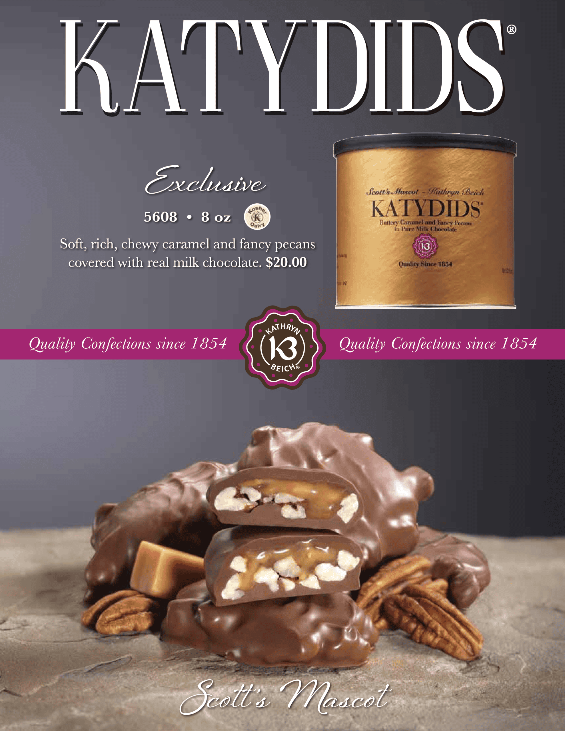 Katydids Brochure
